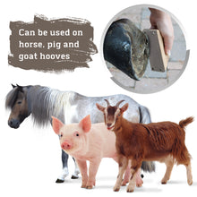 Load image into Gallery viewer, Farrier Rasp w/ Wooden Handle, Mini Hoof Rasp for Horse, Pigs, Goats
