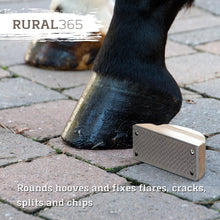 Load image into Gallery viewer, Farrier Rasp w/ Wooden Handle, Mini Hoof Rasp for Horse, Pigs, Goats