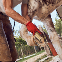 Load image into Gallery viewer, Farrier Rasp w/ Wooden Handle, Mini Hoof Rasp for Horse, Pigs, Goats