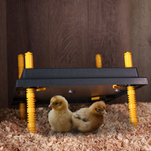Load image into Gallery viewer, Chick Heating Plate - 12in Brooder Heat Plate with Adjustable Height
