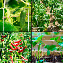 Load image into Gallery viewer, Mesh Climbing Plant Trellis Net Scrog Garden Netting, 5x350ft Roll