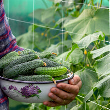Load image into Gallery viewer, Mesh Climbing Plant Trellis Net Scrog Garden Netting, 5x350ft Roll