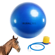 Load image into Gallery viewer, Large Horse Ball Toy in Blue – 40” Inch Anti-Burst Giant Horse Ball
