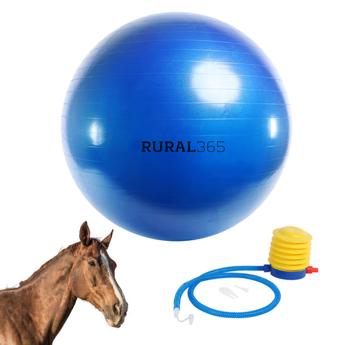 Large Horse Ball Toy in Blue – 40” Inch Anti-Burst Giant Horse Ball