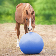 Load image into Gallery viewer, Large Horse Ball Toy in Blue – 40” Inch Anti-Burst Giant Horse Ball
