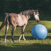 Load image into Gallery viewer, Large Horse Ball Toy in Blue – 40” Inch Anti-Burst Giant Horse Ball
