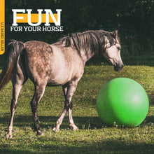 Load image into Gallery viewer, Large Horse Ball Toy in Green – 40” Inch Anti-Burst Giant Horse Ball
