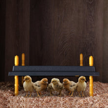 Load image into Gallery viewer, Chick Heating Plate - 16in Brooder Heat Plate with Adjustable Height
