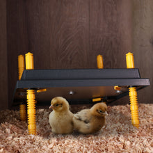 Load image into Gallery viewer, Chick Heating Plate - 12in Brooder Heat Plate with Adjustable Height
