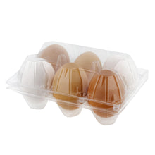 Load image into Gallery viewer, Plastic Egg Carton for 6 Eggs 12ct Reusable Chicken Egg Holder
